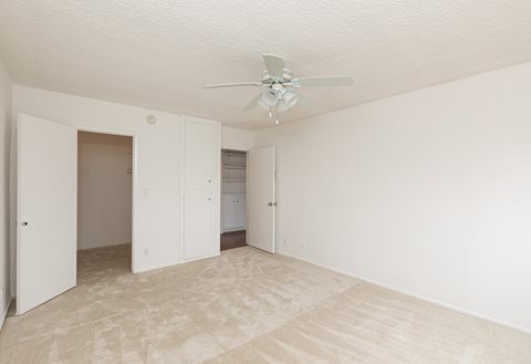 Bedroom with Carpet Floors and Walk-In Closet