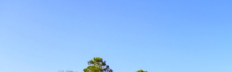 Grand Reserve Columbus Apartments in Columbus, GA RENTCafe