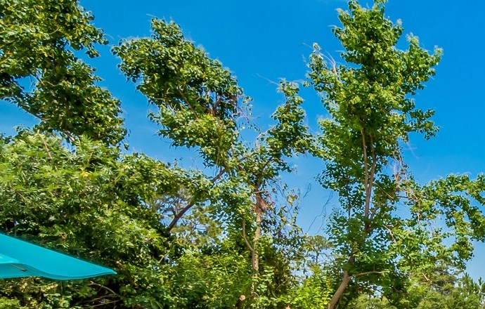 Angel Cove | Apartments in Pensacola, FL