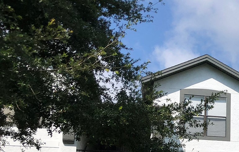 Sundance At Clermont Apartments In Clermont FL sundance-at-clermont-apartments-in-clermont-fl