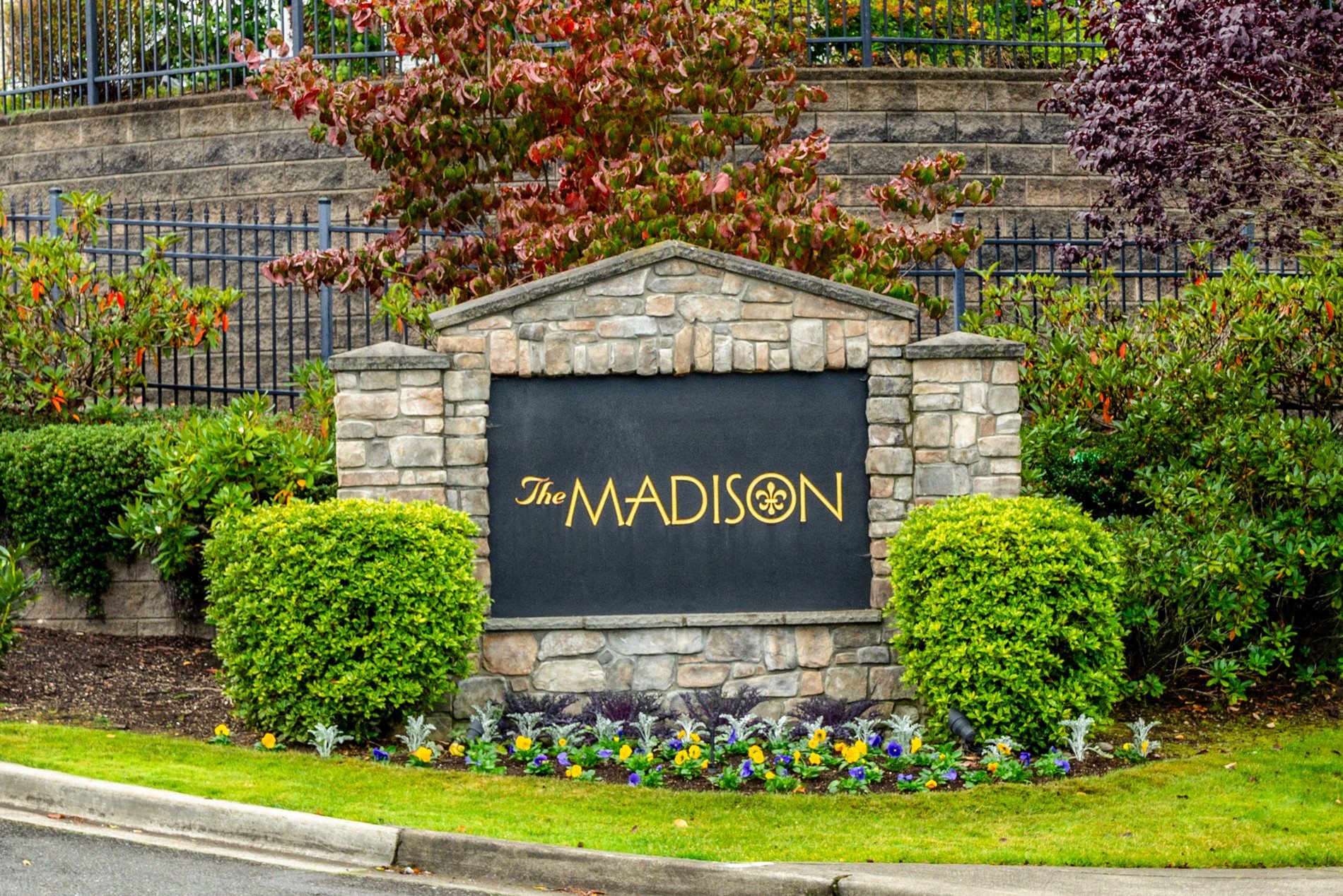 Photos and Video of The Madison in Olympia, WA
