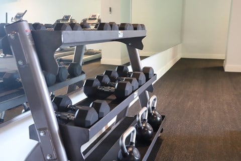 Fitness Center Free Weights