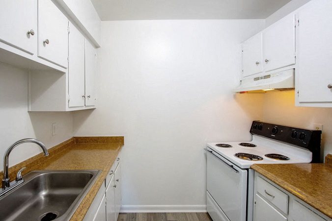 Gallery Photo 18