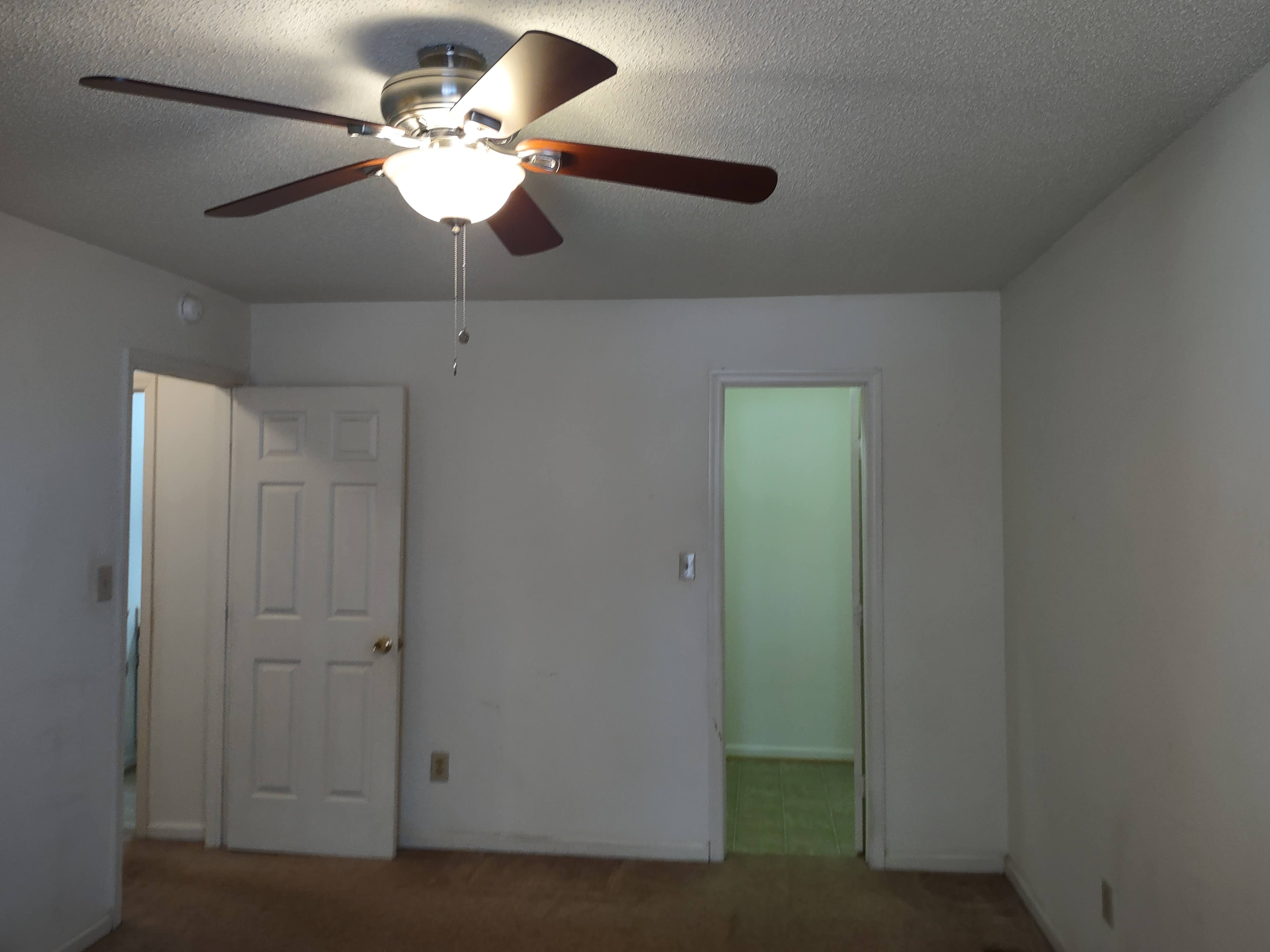 Gallery Photo 1