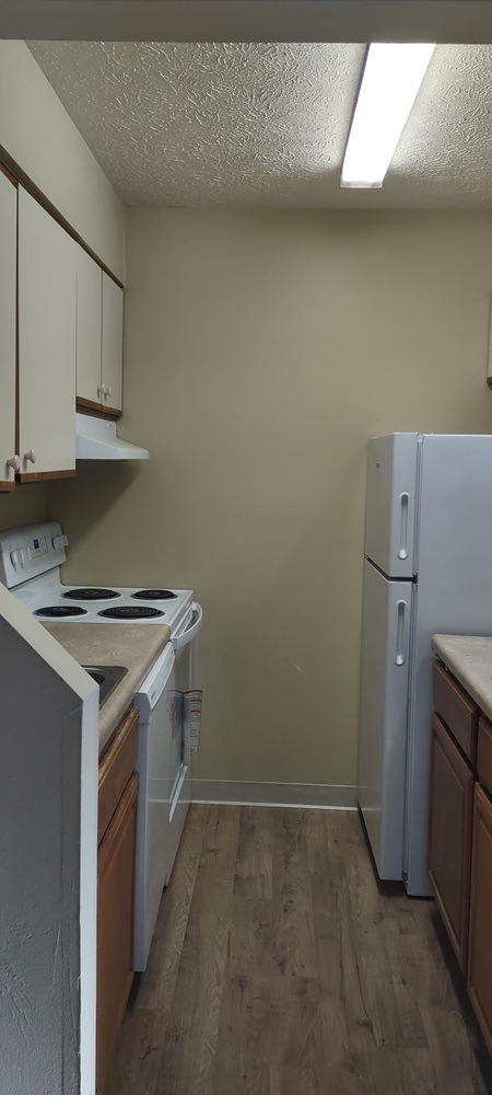 Gallery Photo 3