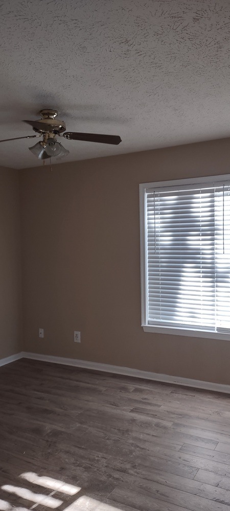 Gallery Photo 5