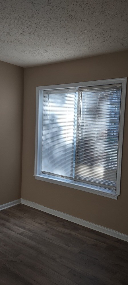 Gallery Photo 6