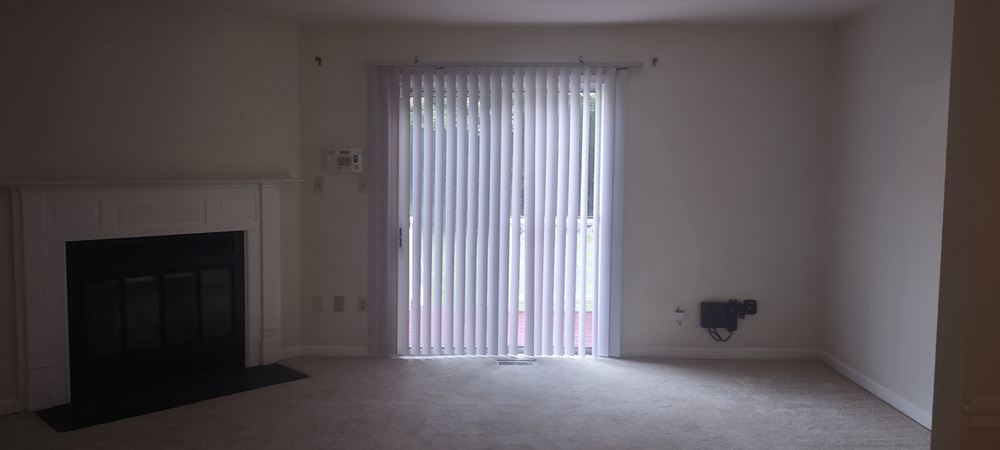 Gallery Photo 5