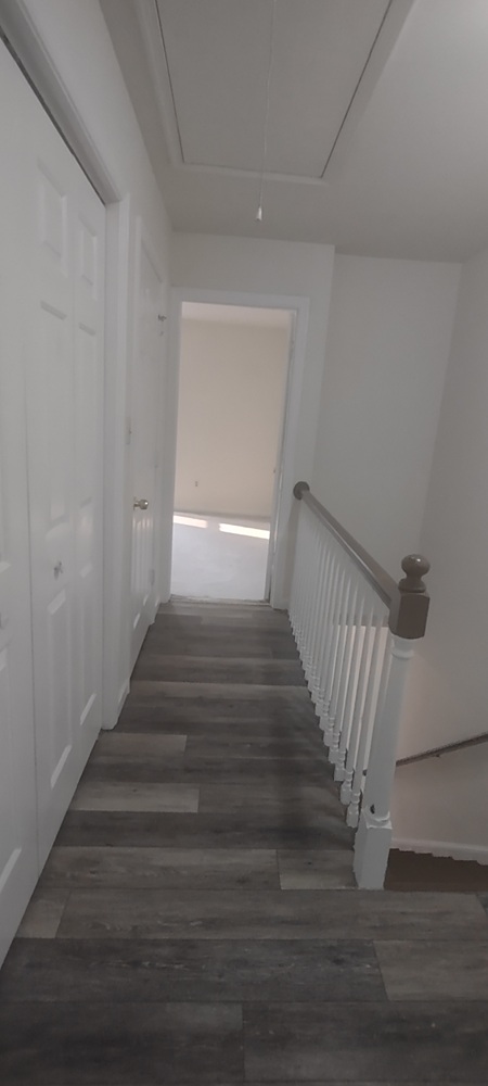 Gallery Photo 11