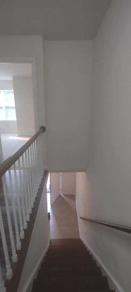 Gallery Photo 10