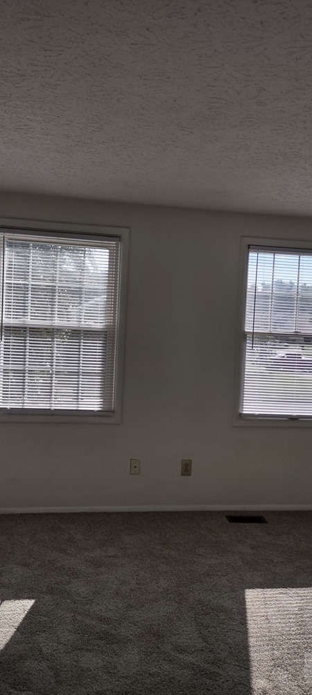 Gallery Photo 12