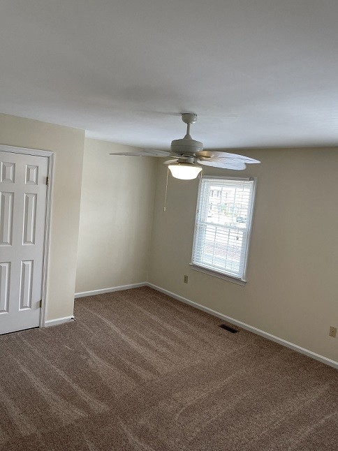 Gallery Photo 10