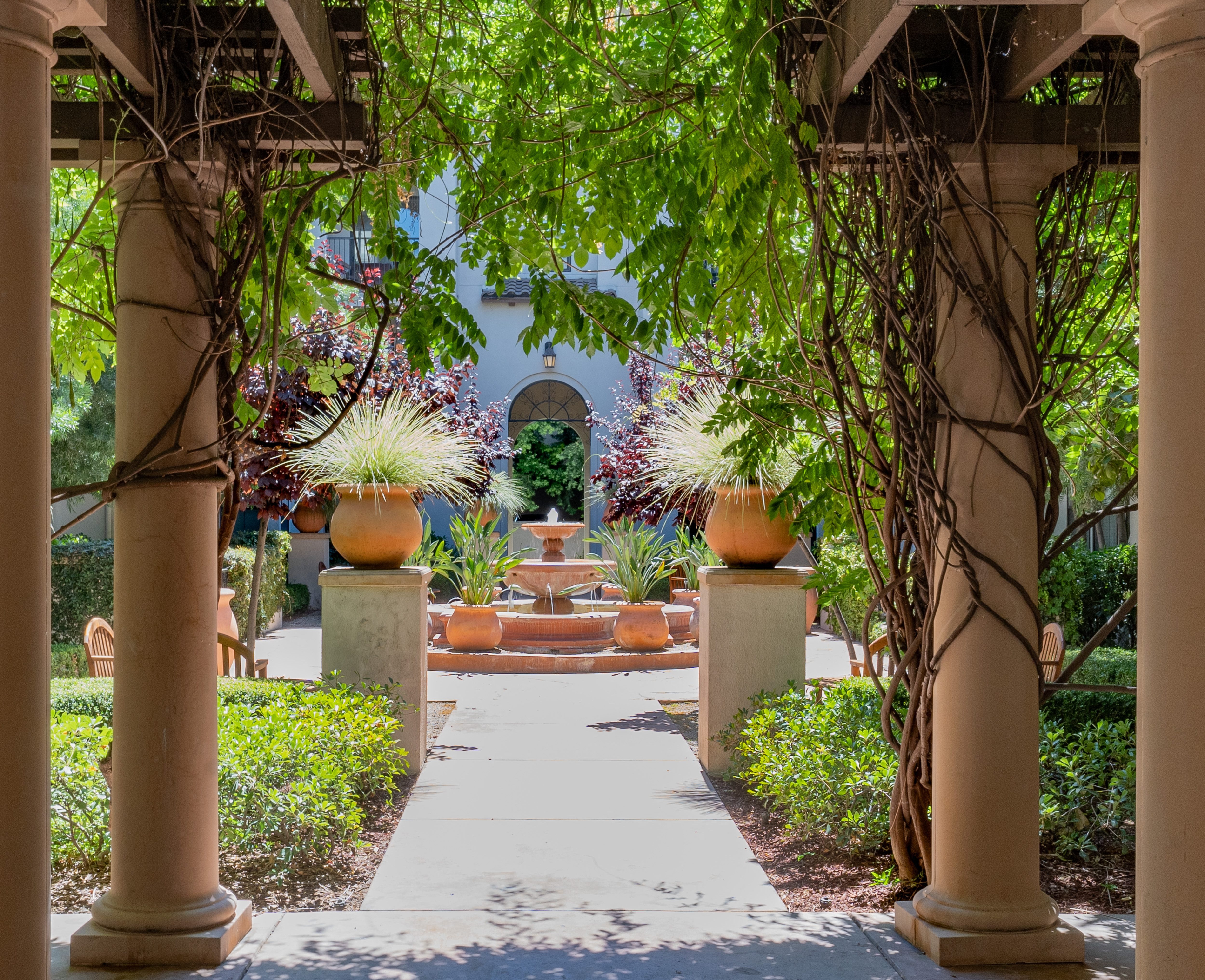 Fountain Plaza - Courtyard