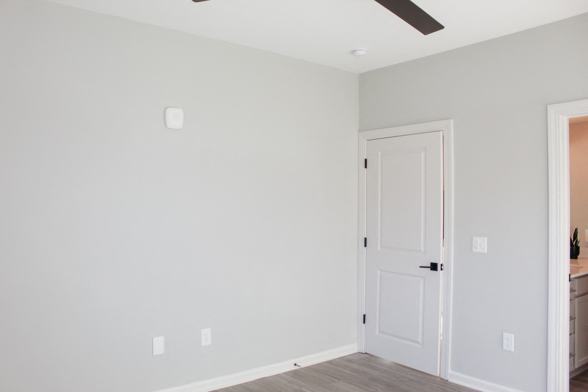Gallery Photo 13