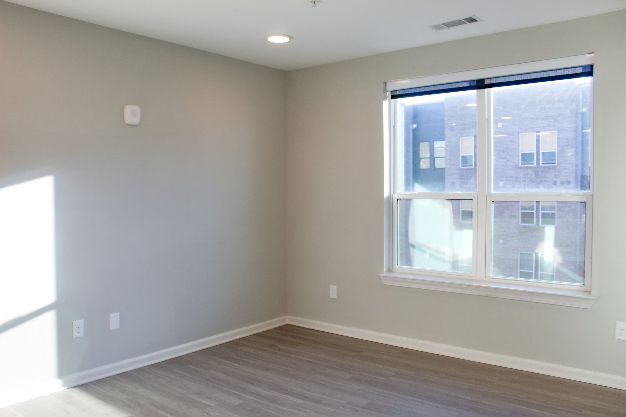 Gallery Photo 6