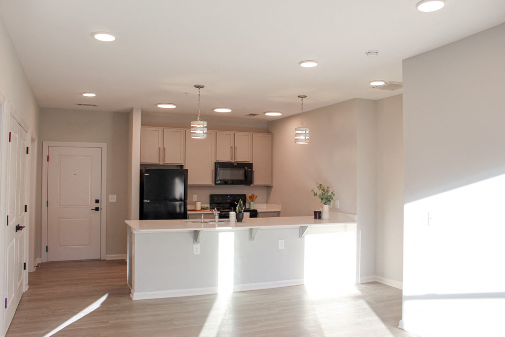 Gallery Photo 4