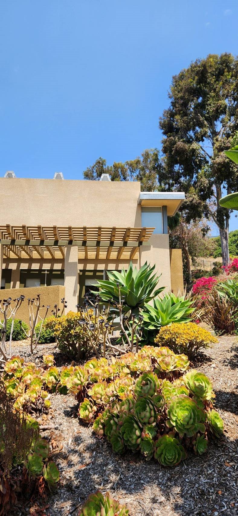 at Mission Terrace, San Diego