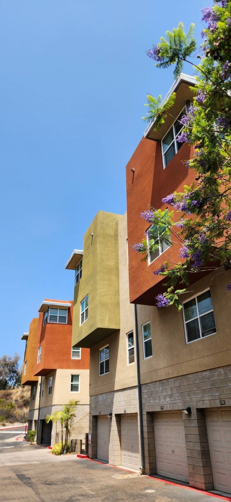 at Mission Terrace, San Diego