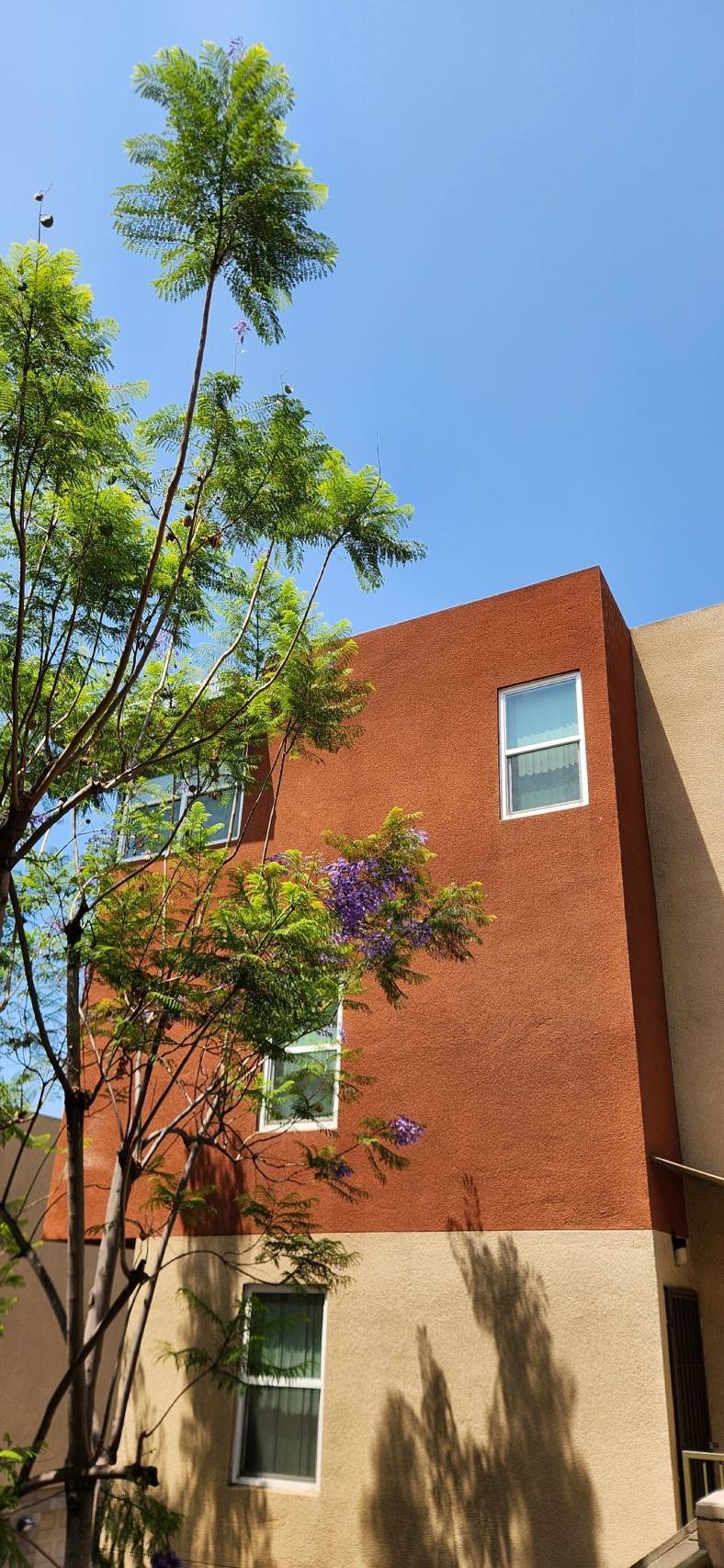 at Mission Terrace, San Diego, California