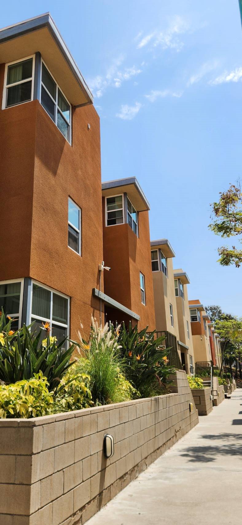 at Mission Terrace, San Diego, California