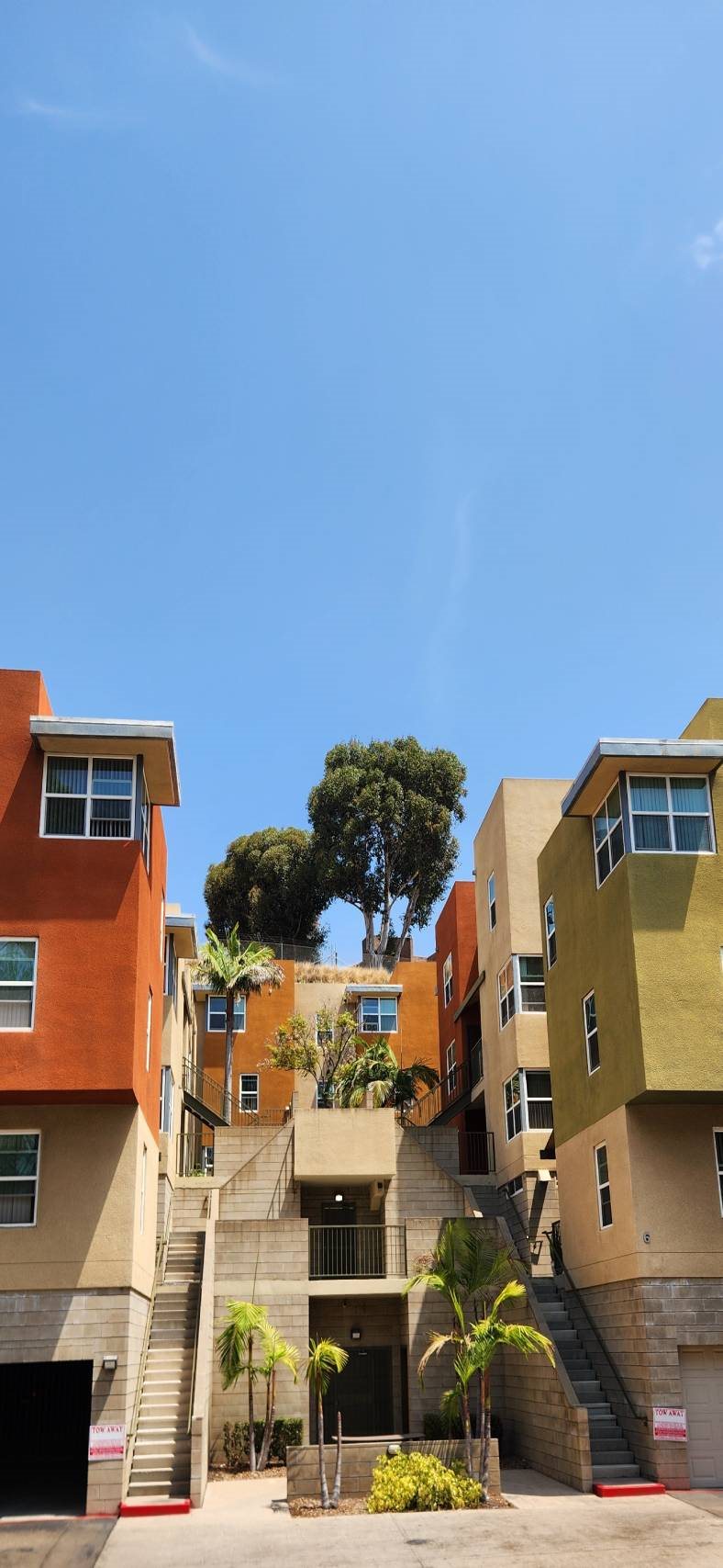 at Mission Terrace, San Diego, CA, 92108