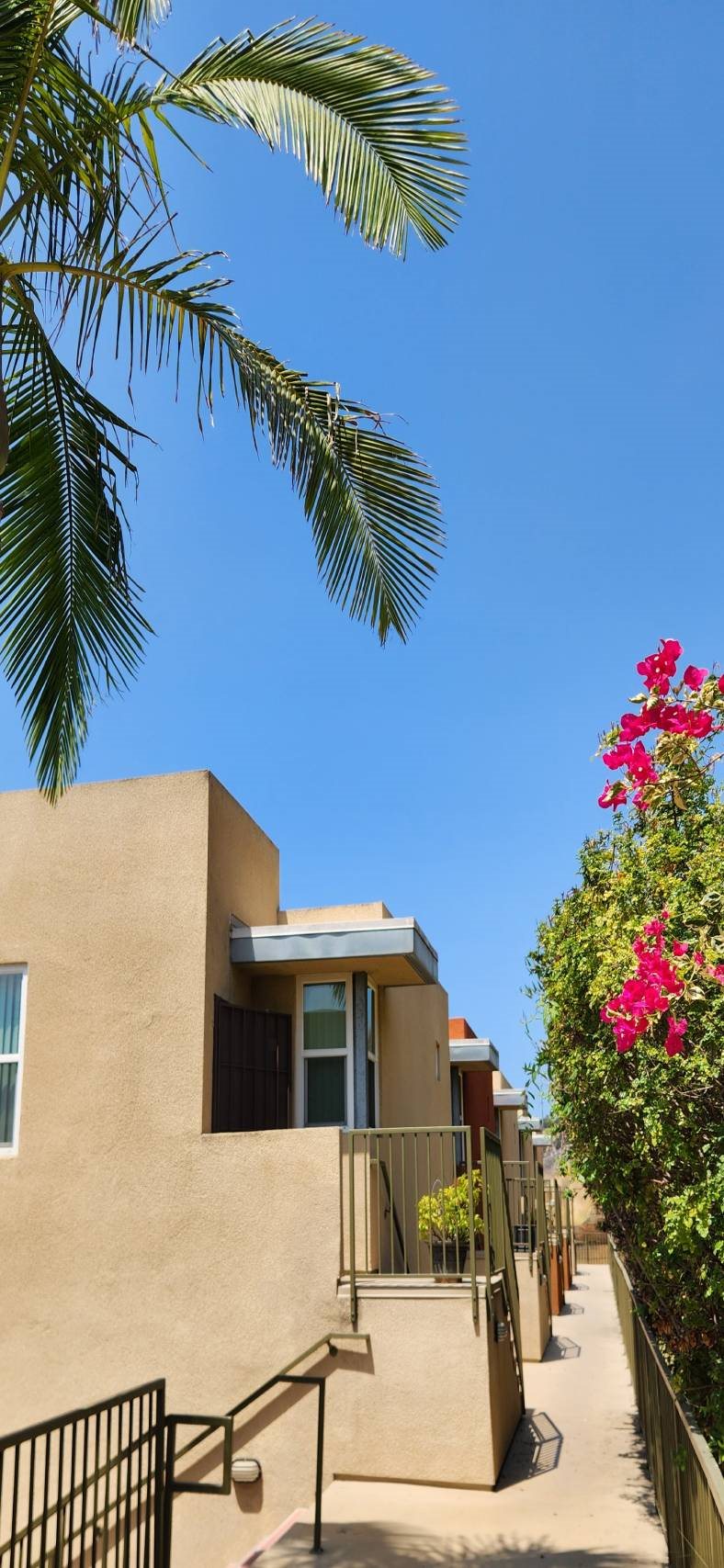 at Mission Terrace, California