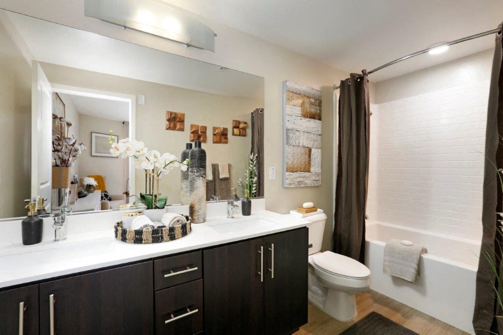 a bathroom with a sink and a toilet