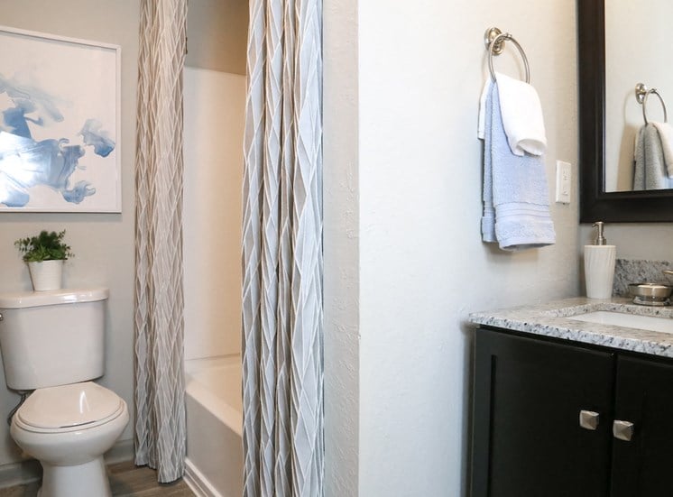 bathroom with toilet, shower, and granite vanity