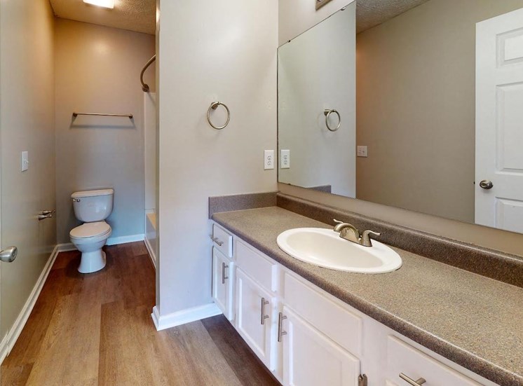 bathroom with wood-style flooring, large vanity and mirror