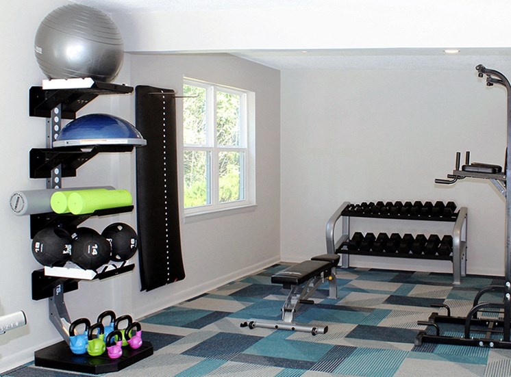 Fitness center with free weights, roman chair, kettlebells and balls