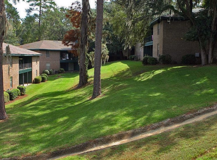 Rolling hills and tall trees  at Aspen Run and Aspen Run II Apartments, Tallahassee, 32304