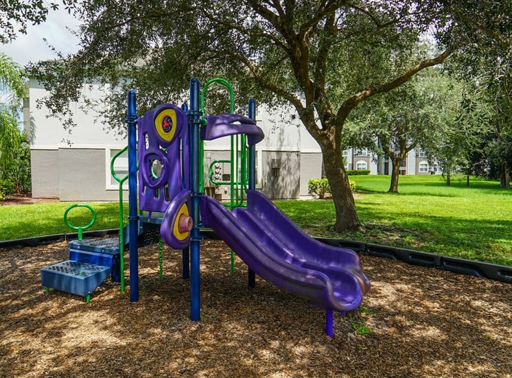 Outdoor playground equipped with a slide, monkey bars, and latter