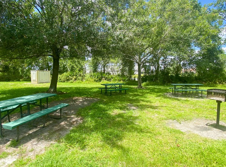 Picnic Area with charcoal BBQ Grills, with trees in the background