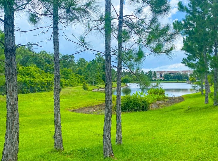Lake view surrounded by native landscaping