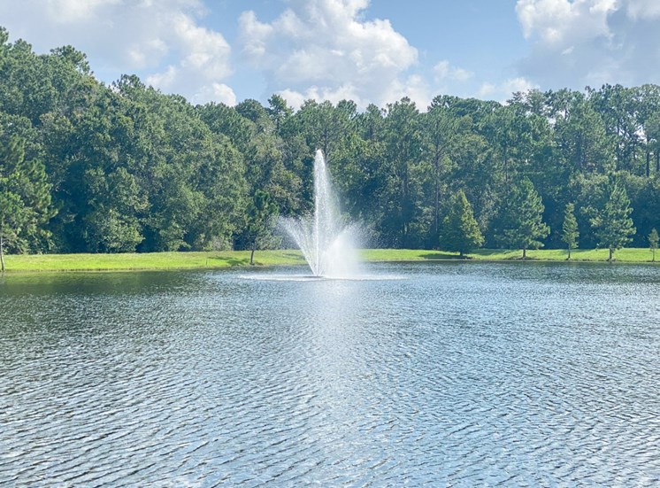 Lake with water fountain feature surrounded by native landscaping