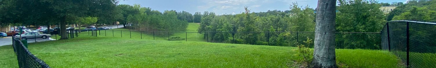 Fenced-in dog park with large grass area and trees in the background