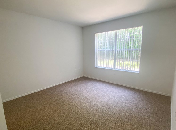 Carpeted Bedroom with single window