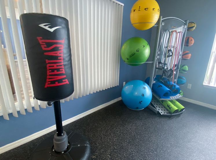 Fitness center equipped with punching bag
