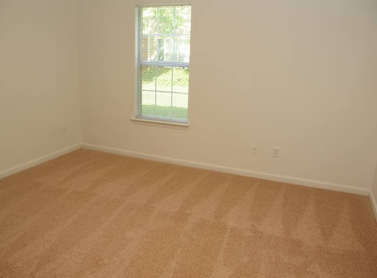 The vacant bedroom has wall to wall carpet and a standard window on one wall.