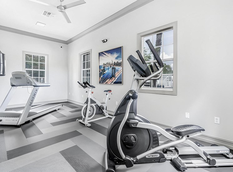Fitness room with strength and cardio equipment, windows, and a ceiling fan.