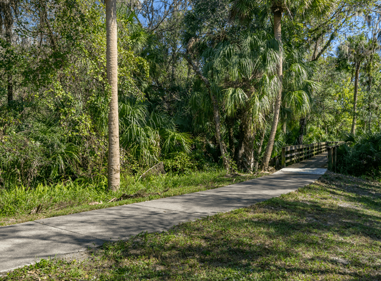 Walking trail with scenic views and bridge
