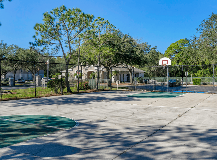 Outdoor basketball court surrounded by native landscaping