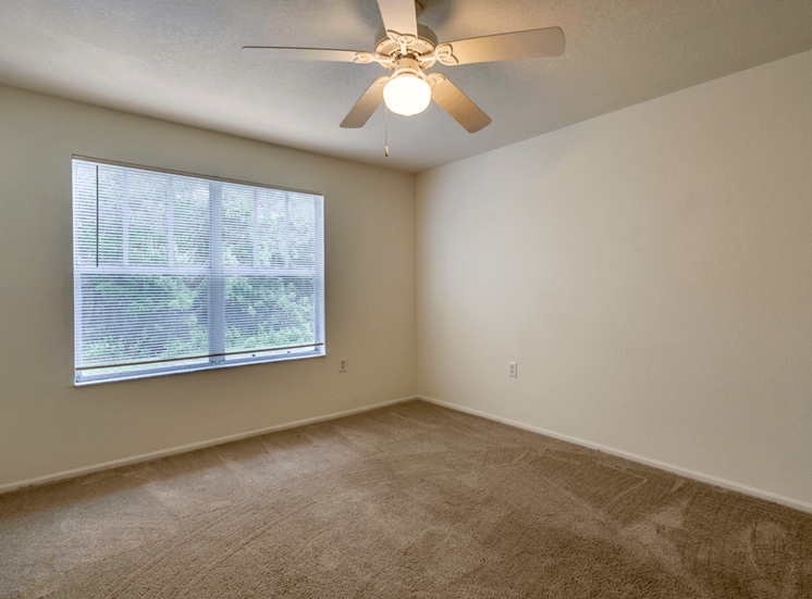 Living room with carpet flooring, large window for natural lighting, and multi speed ceiling fan