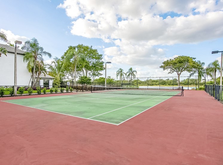 tennis court with trees