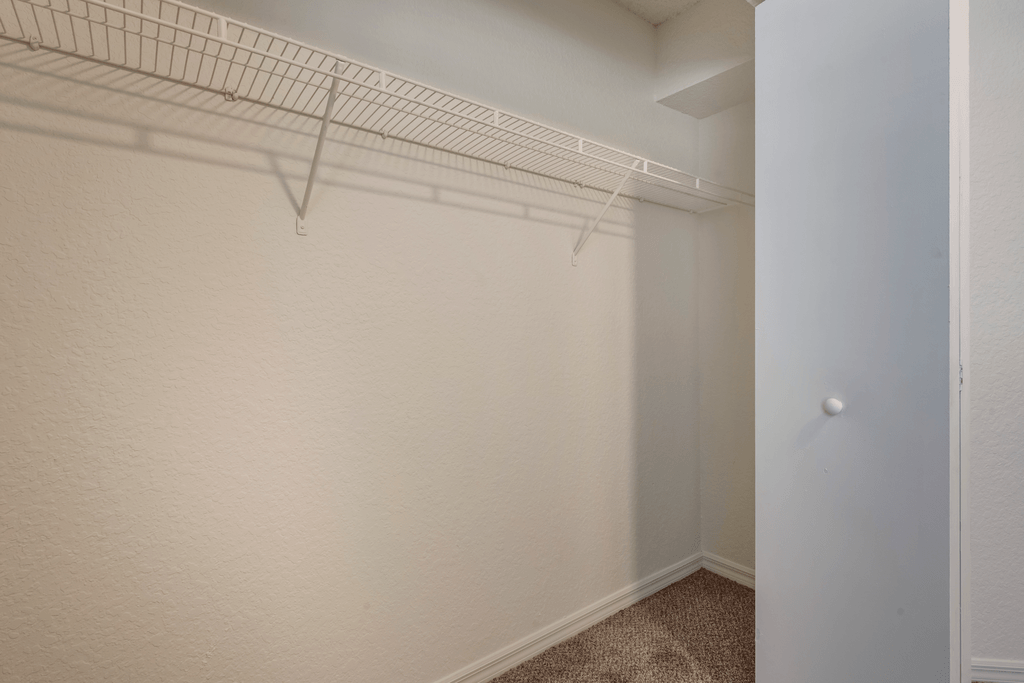 Spacious closet with carpet flooring