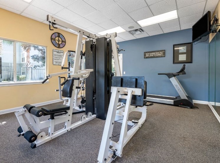 Fitness center strength training equipment, cardio equipment, wall mounted television, wall mirrors, and window for natural lighting