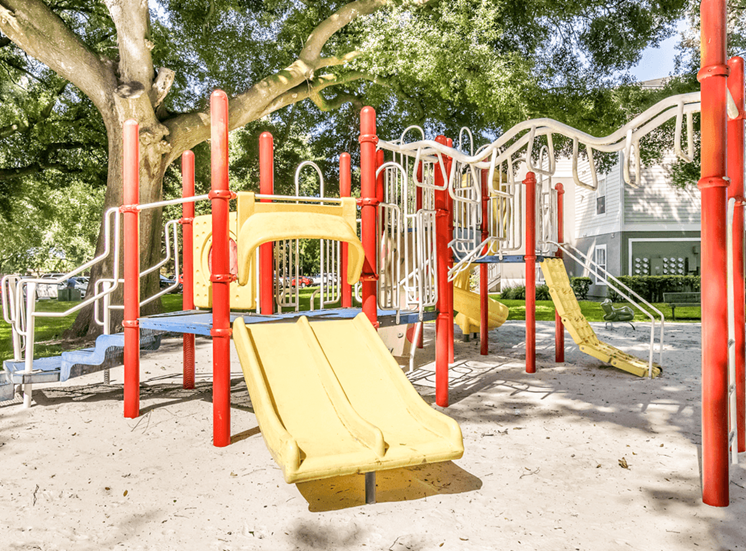 Playground with multiple slides, monkey bars and surrounding native landscape