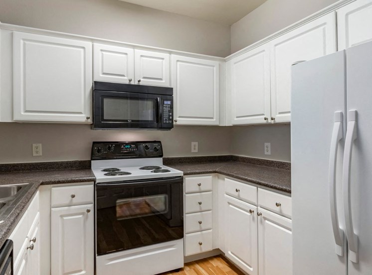 Fully equipped kitchen with double basin sink and hardwood style floors