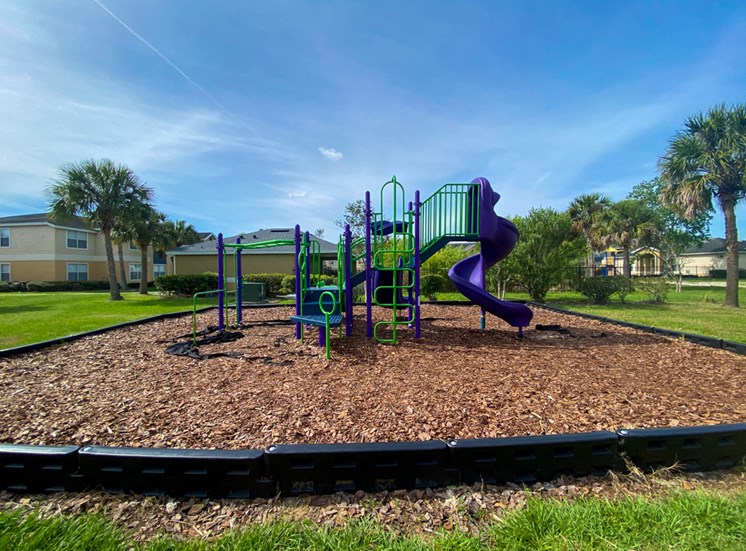 Green and blue Playground set with monkey bars in a bed of mulch with buildings and palm tree in the background