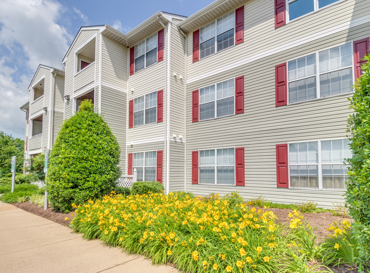 The apartment buildings are a grayish tan in color with red shutters and white trim. They are three stories tall, and are surrounded by luscious landscaping with yellow flowers and mature trees. There is a sidewalk in front that leads to the building.
